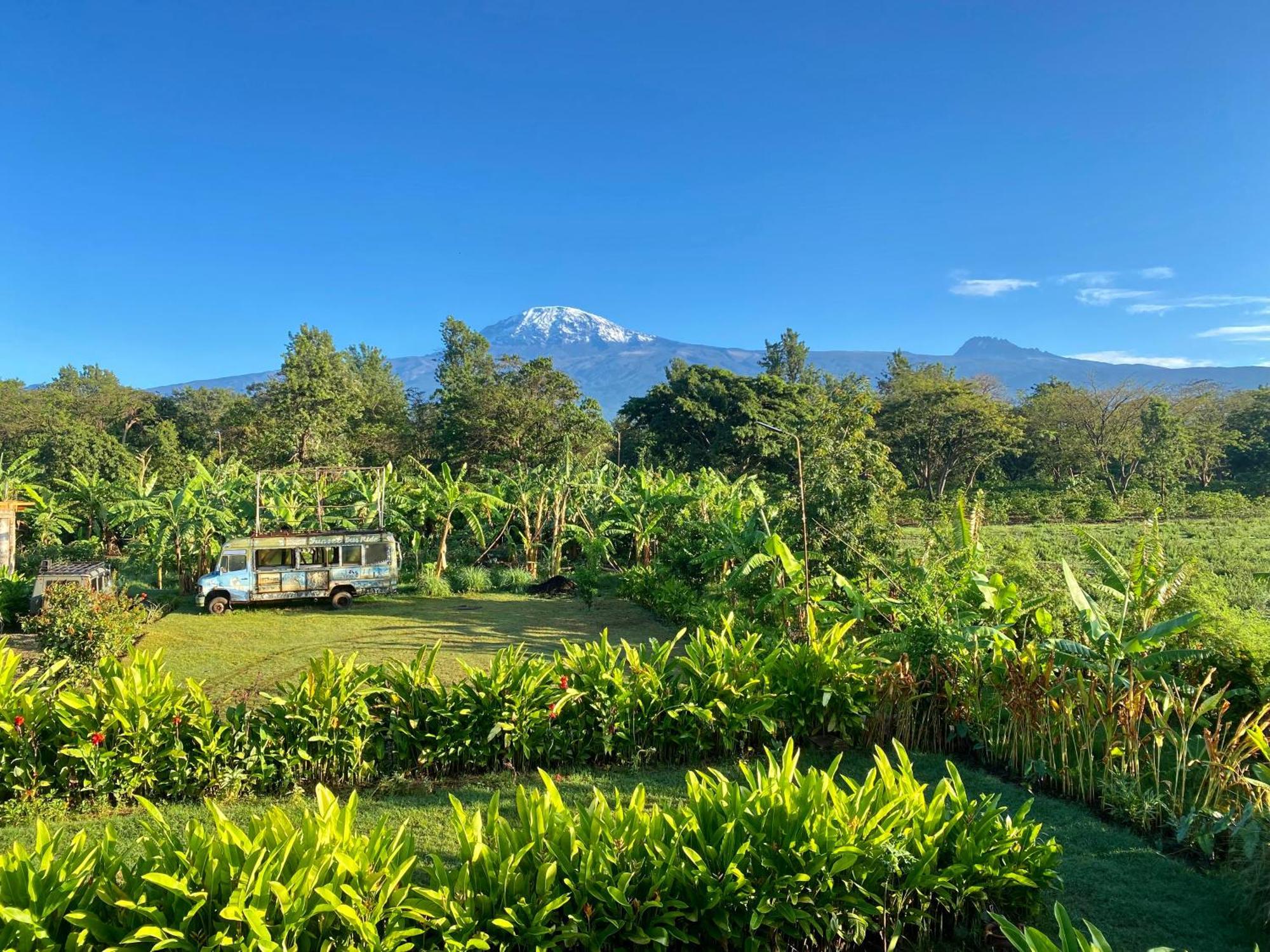 Mount Kilimanjaro 360 View Cottage Uru Buitenkant foto