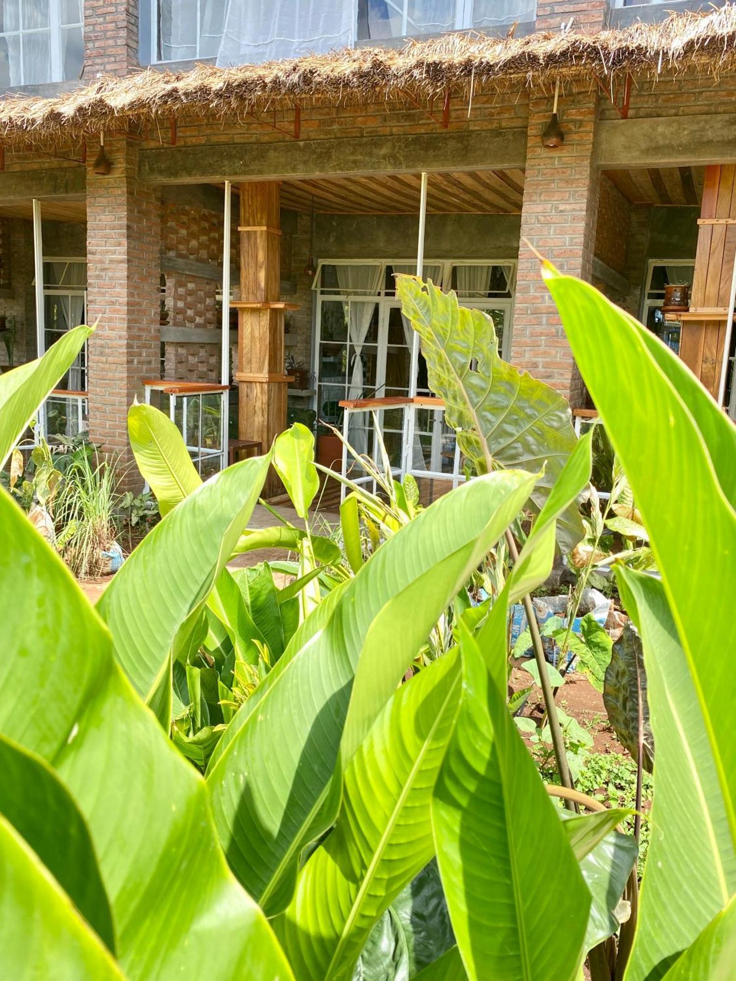 Mount Kilimanjaro 360 View Cottage Uru Buitenkant foto
