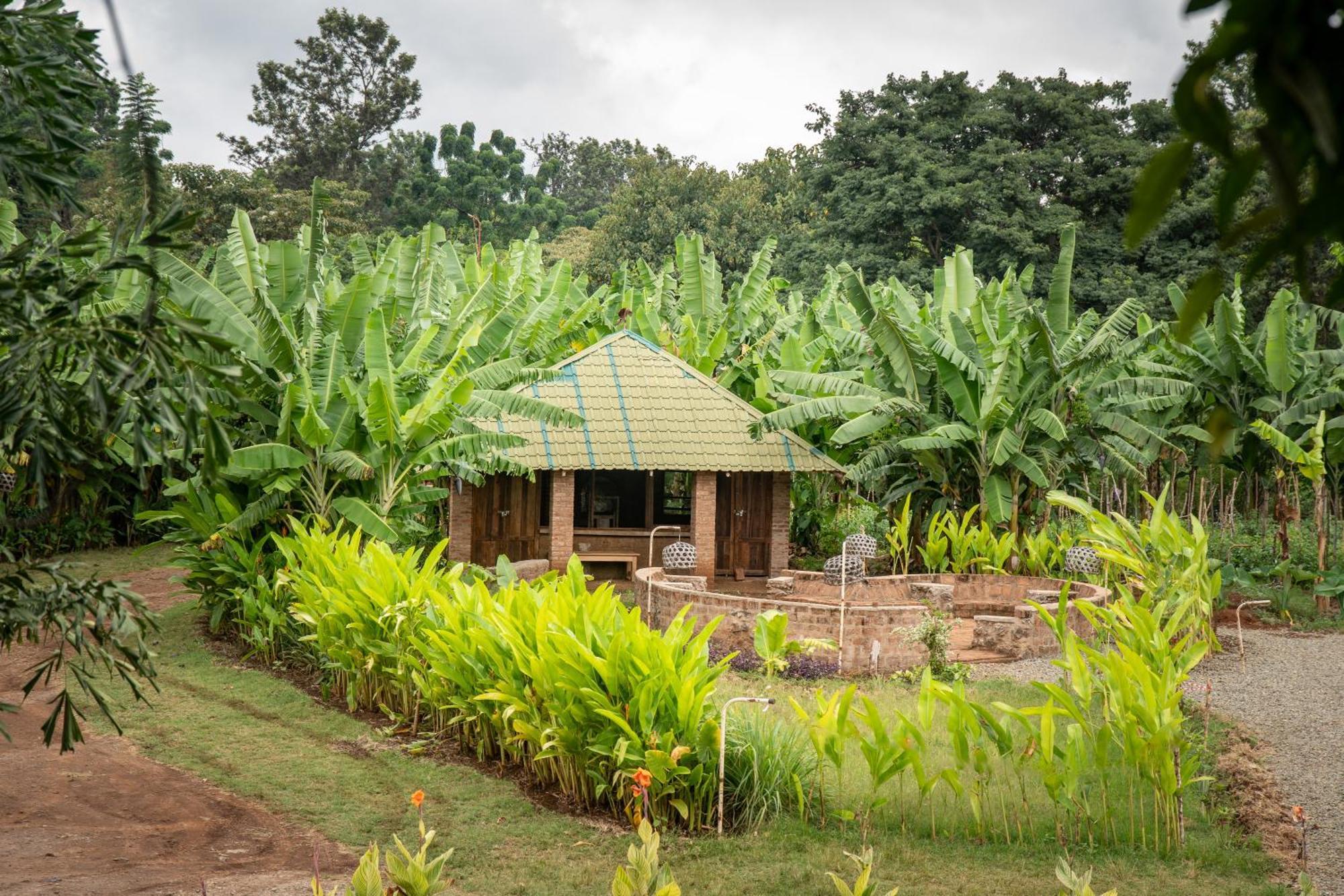 Mount Kilimanjaro 360 View Cottage Uru Buitenkant foto