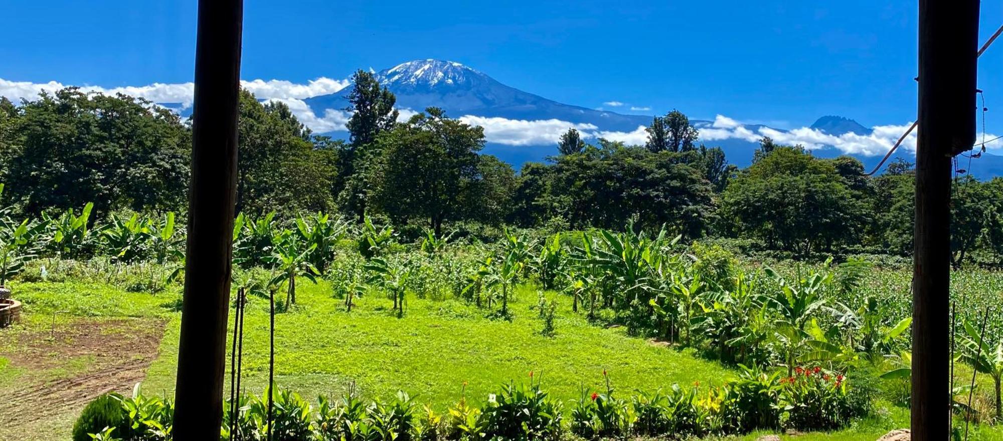 Mount Kilimanjaro 360 View Cottage Uru Buitenkant foto