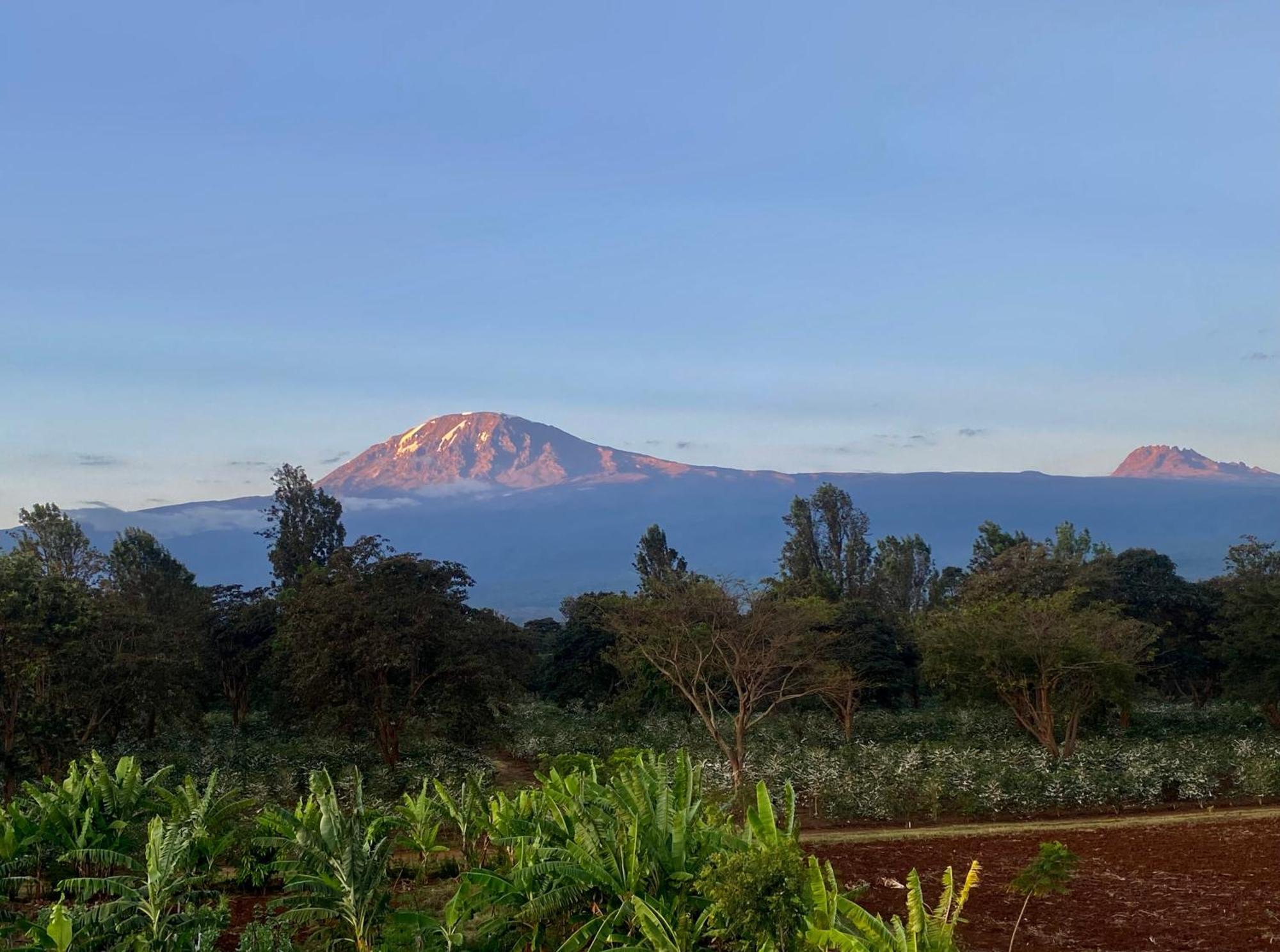 Mount Kilimanjaro 360 View Cottage Uru Buitenkant foto